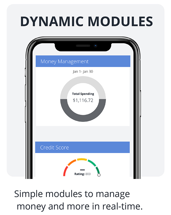 Dynamic Modules - Simple modules to manage money and more in real-time.