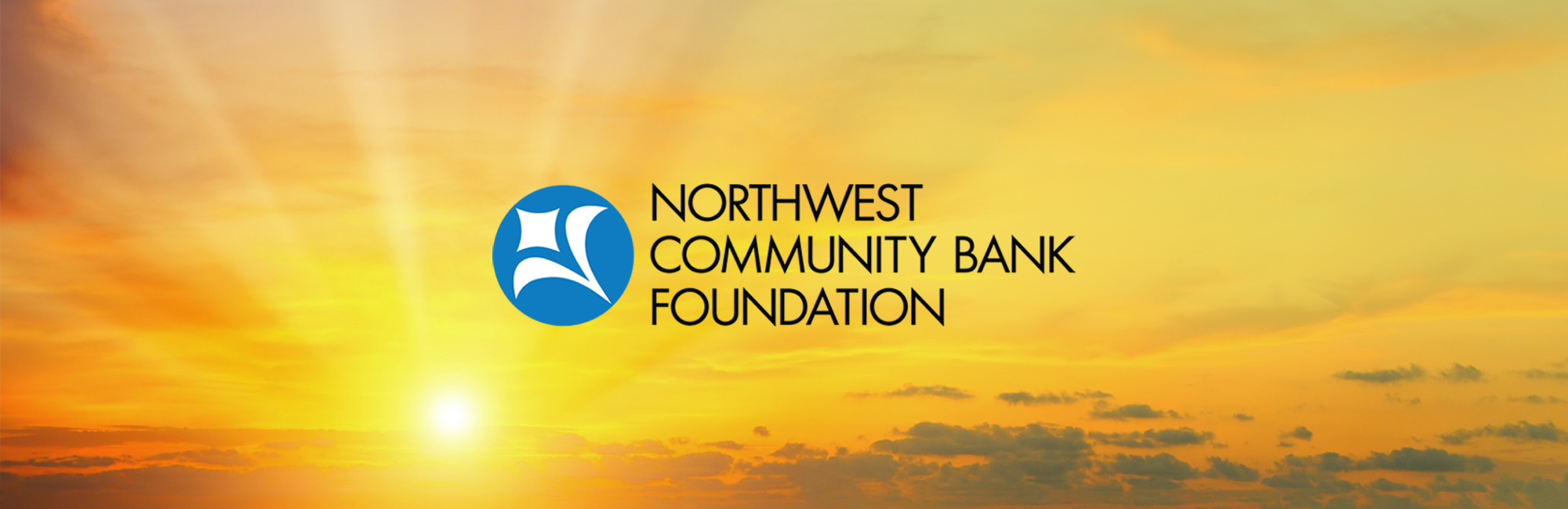 NCB Foundation LP Banner 2024-Blank